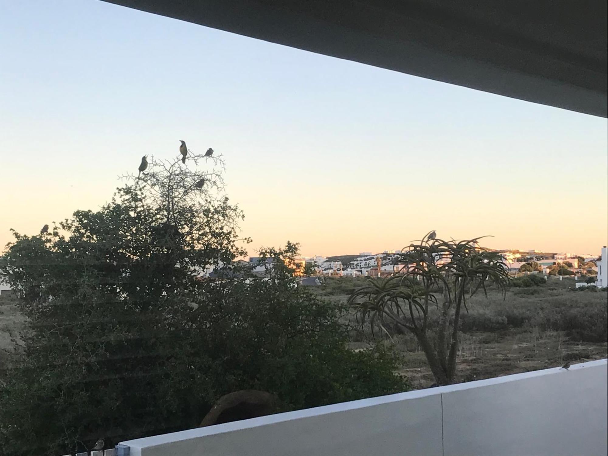 Perfect 10 - 10 To 13 Sleeper Luxury Holiday Home Breakage Deposit Of R2500 Per Weekend Lease Langebaan Exterior foto
