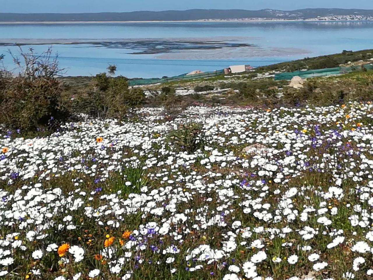 Perfect 10 - 10 To 13 Sleeper Luxury Holiday Home Breakage Deposit Of R2500 Per Weekend Lease Langebaan Exterior foto